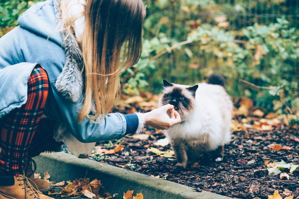 猫と女性